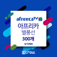 아프리카 별풍선 300개