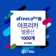 아프리카 별풍선 1000개